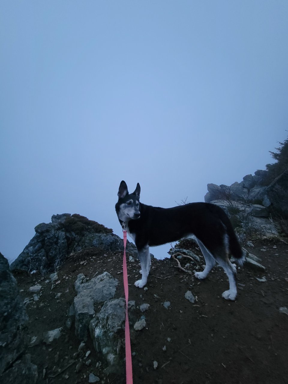 20220329_193538.jpg