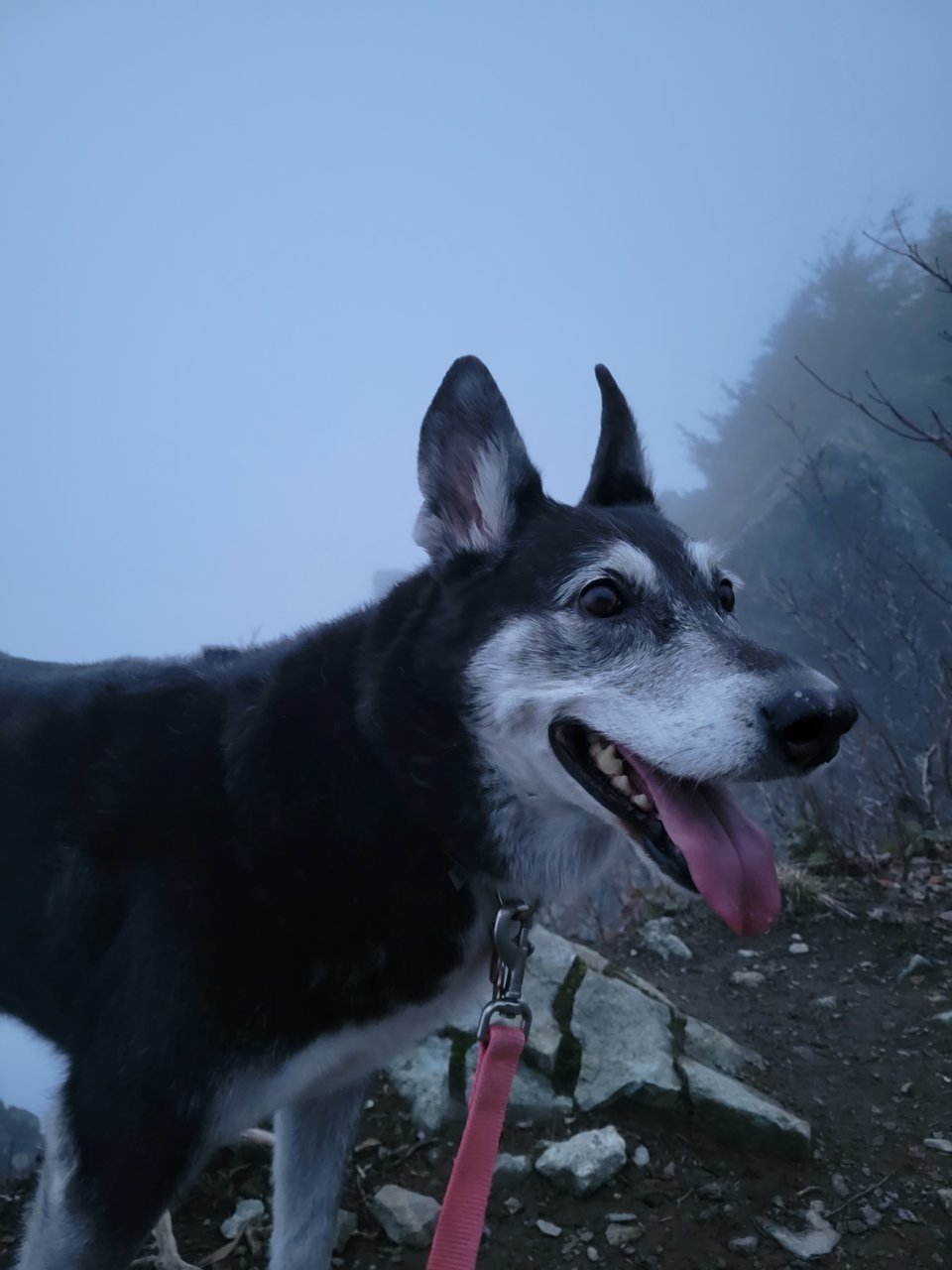 20220329_193918.jpg