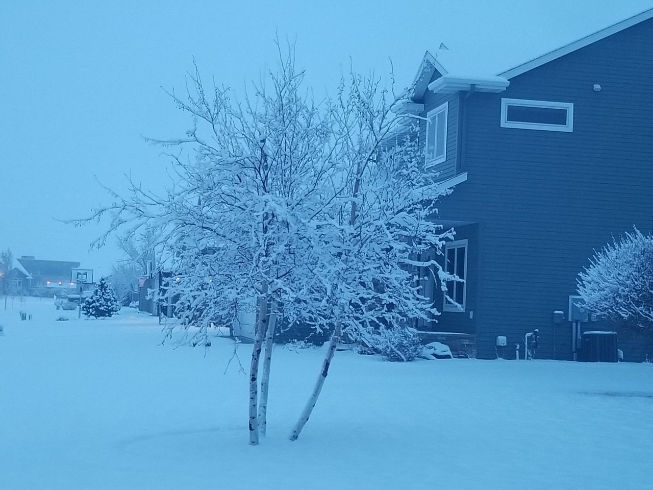 20220330_070121.jpg