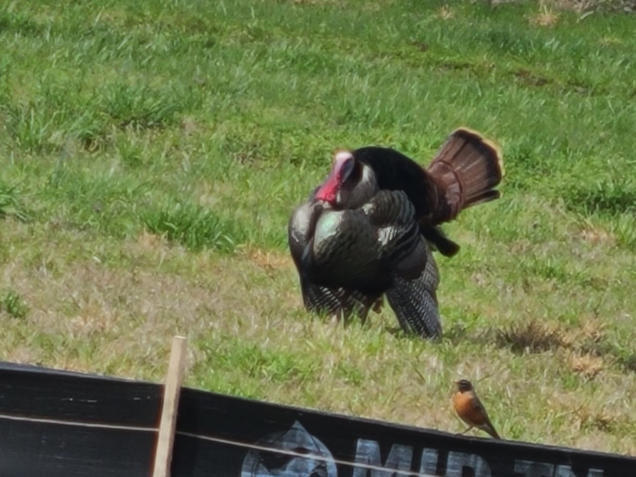 20220331_151616.jpg