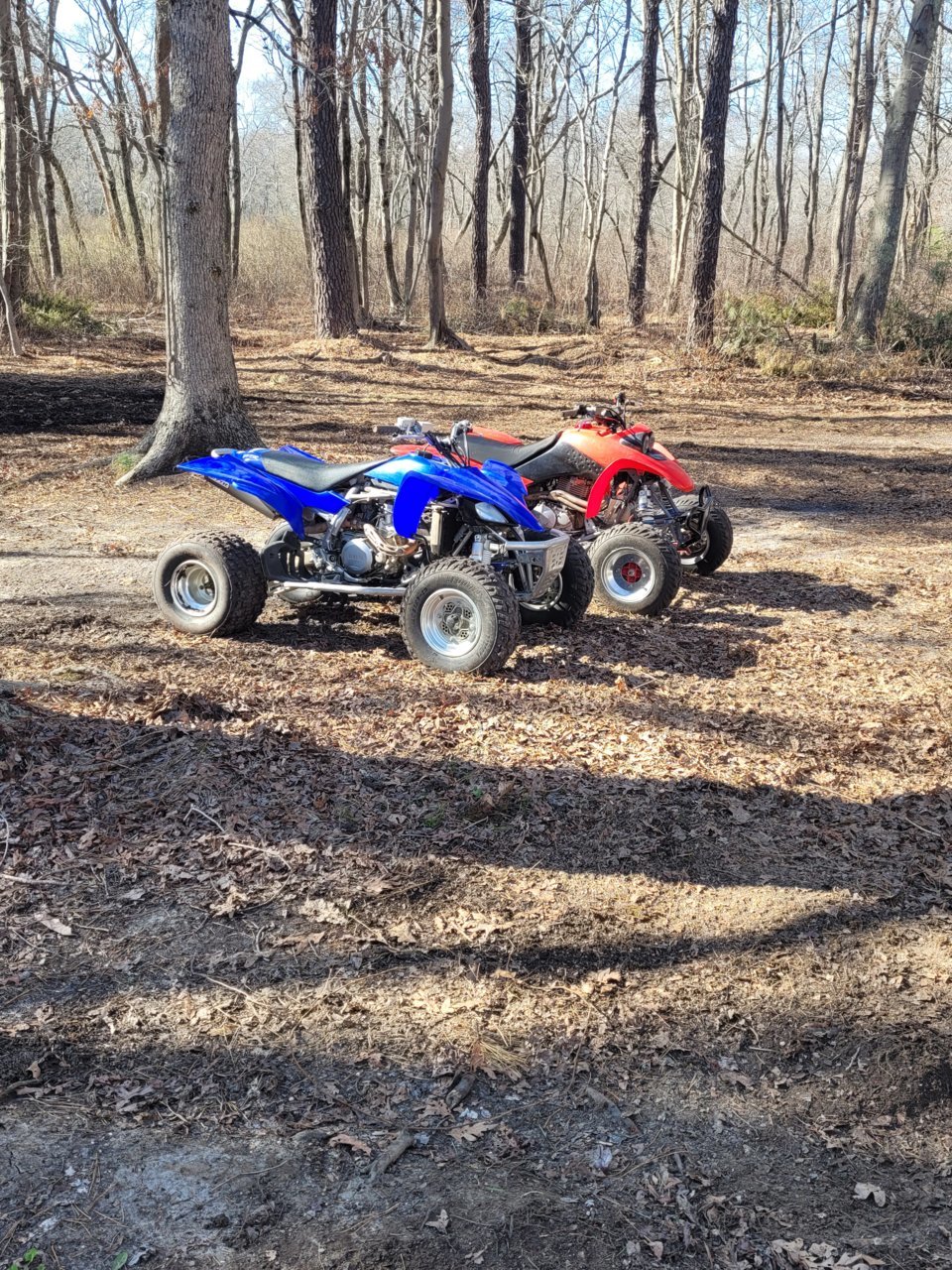20220402_162306.jpg