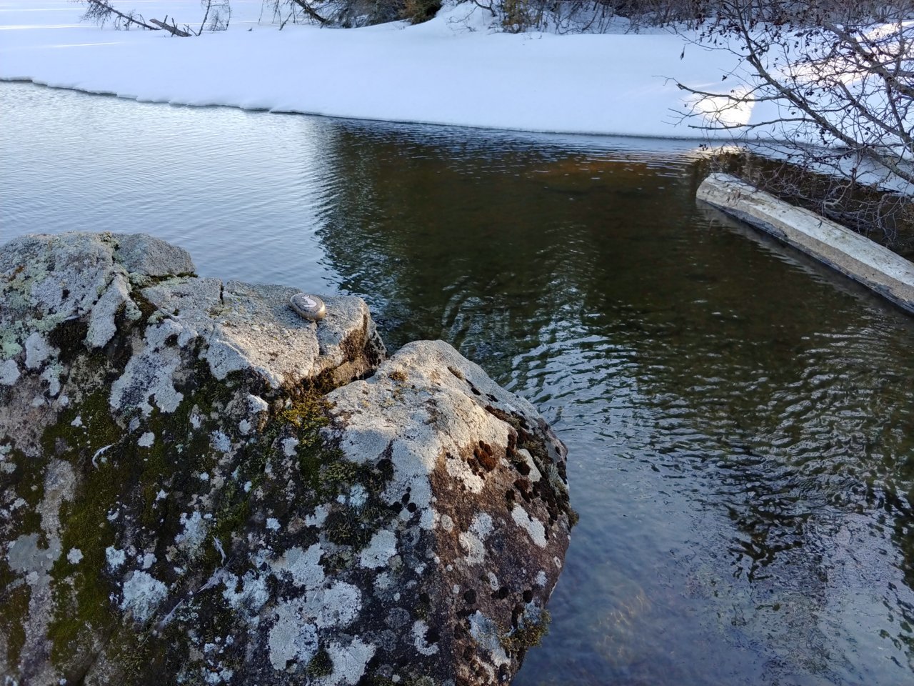 20220402_174138_HDR.jpg