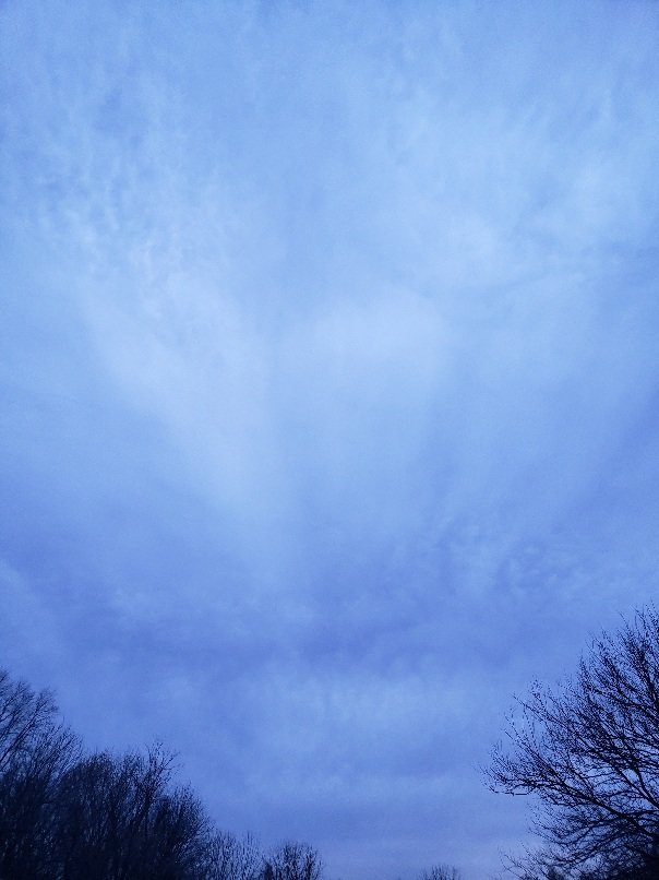 20220402_212041.jpg