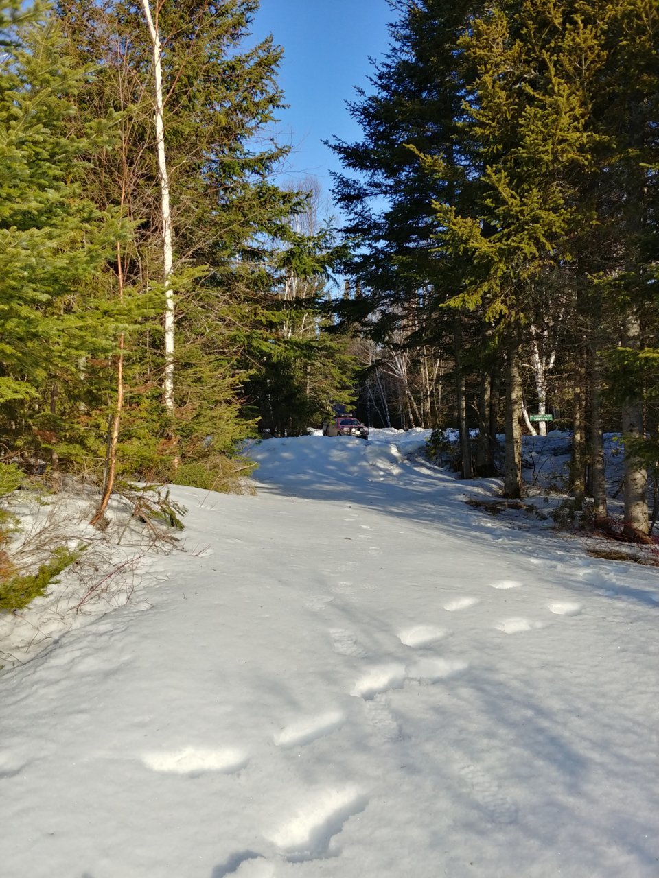 20220403_074214_HDR.jpg