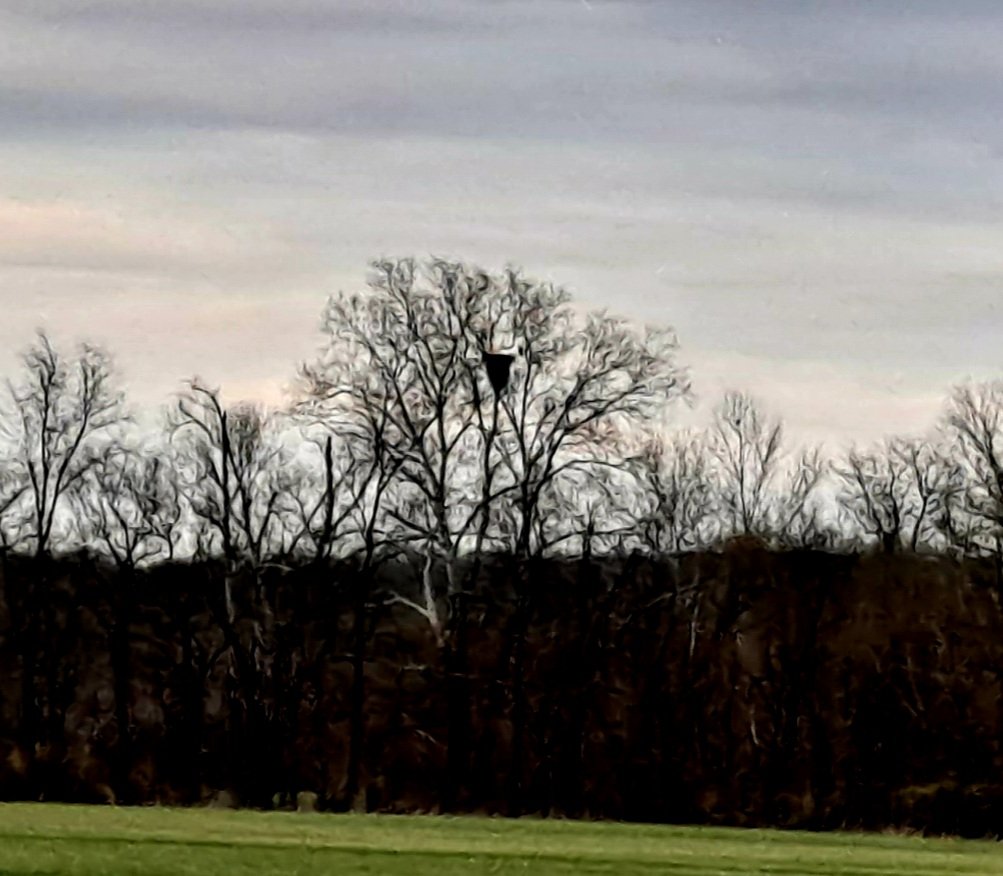 20220404_165335.jpg