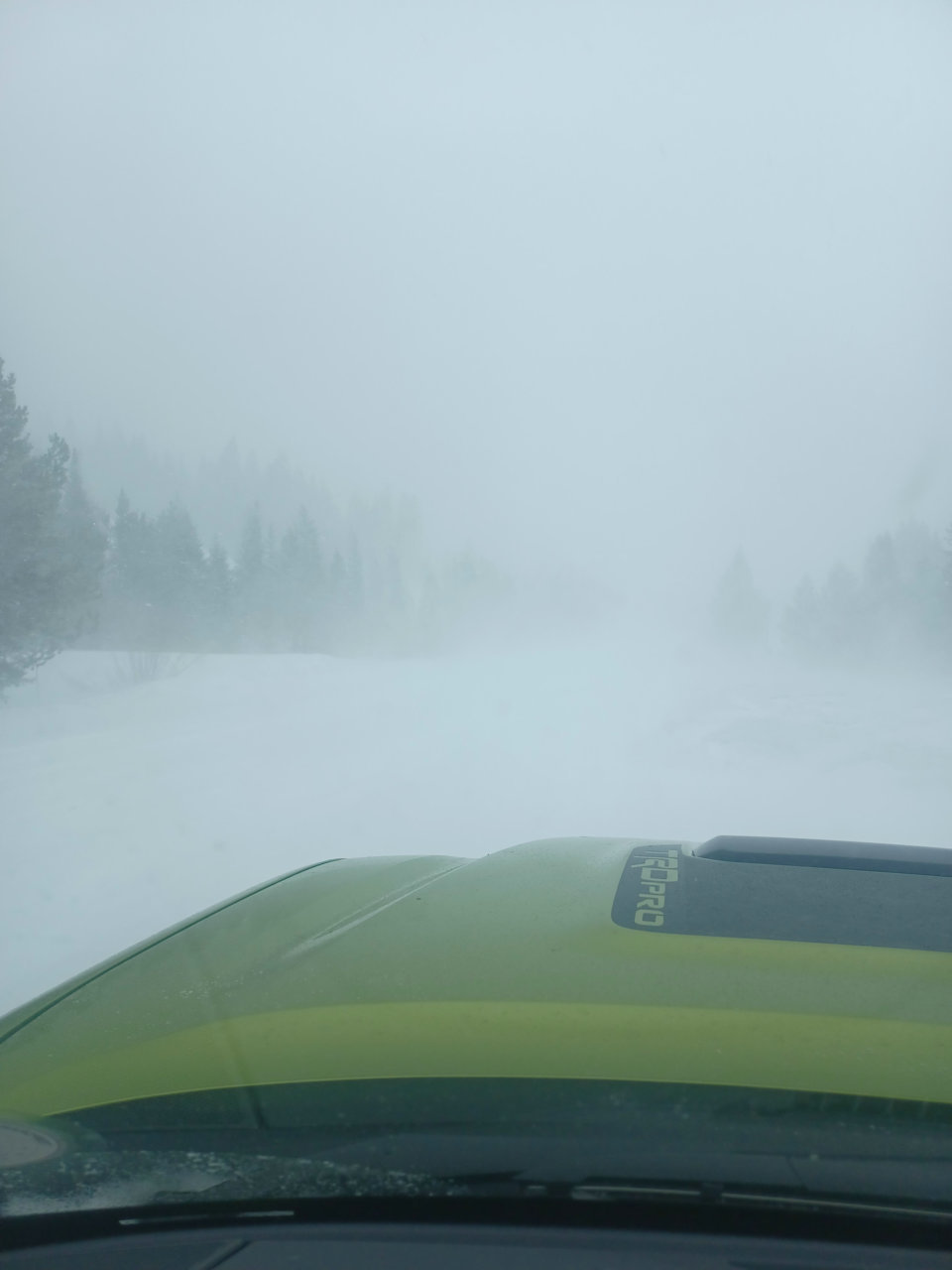 20220405_133446.jpg