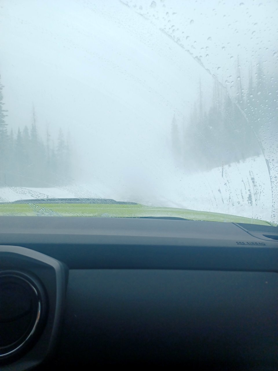 20220405_135208.jpg