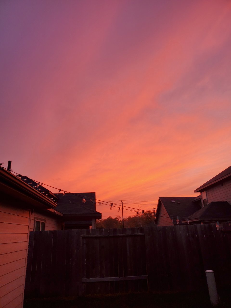 20220405_195050.jpg