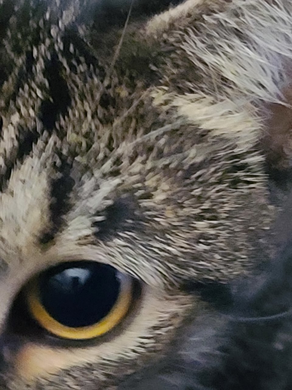 20220408_180701.jpg
