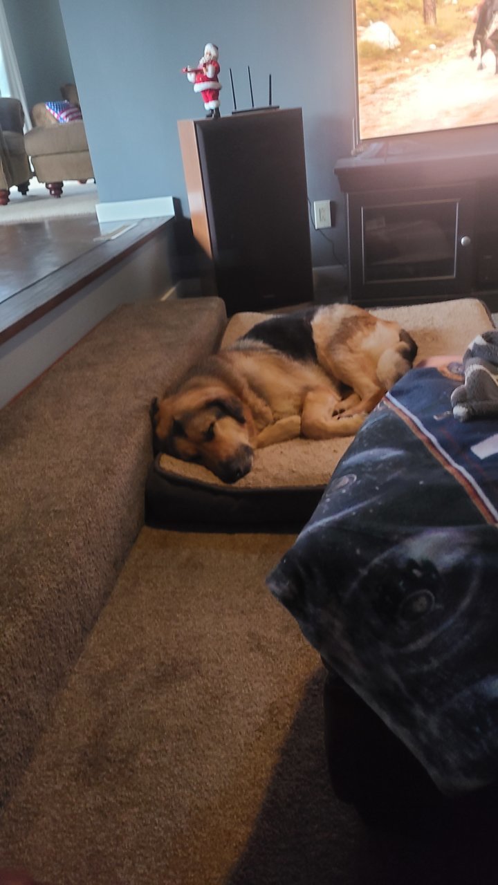 20220408_190056.jpg
