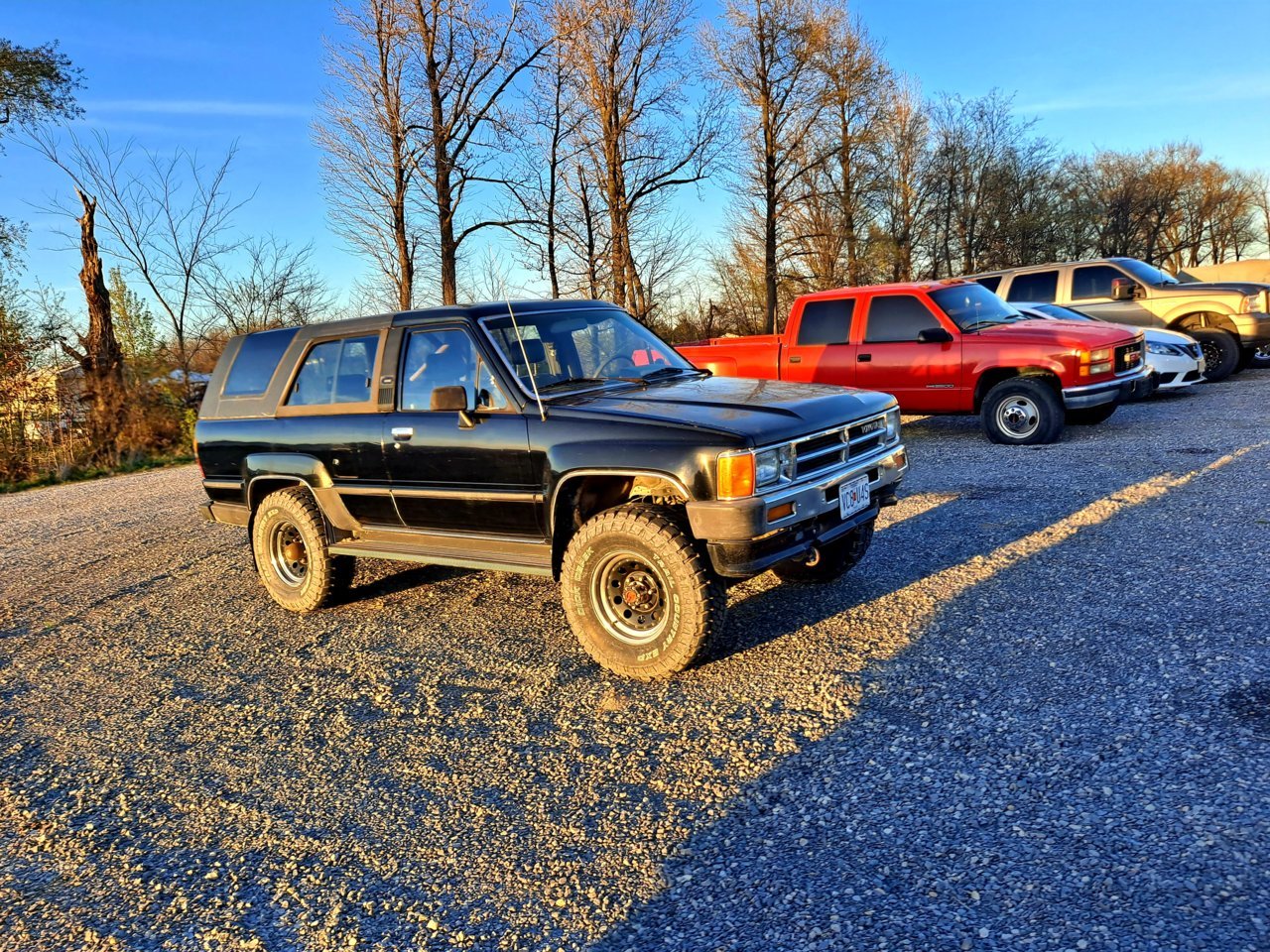 20220409_190007.jpg
