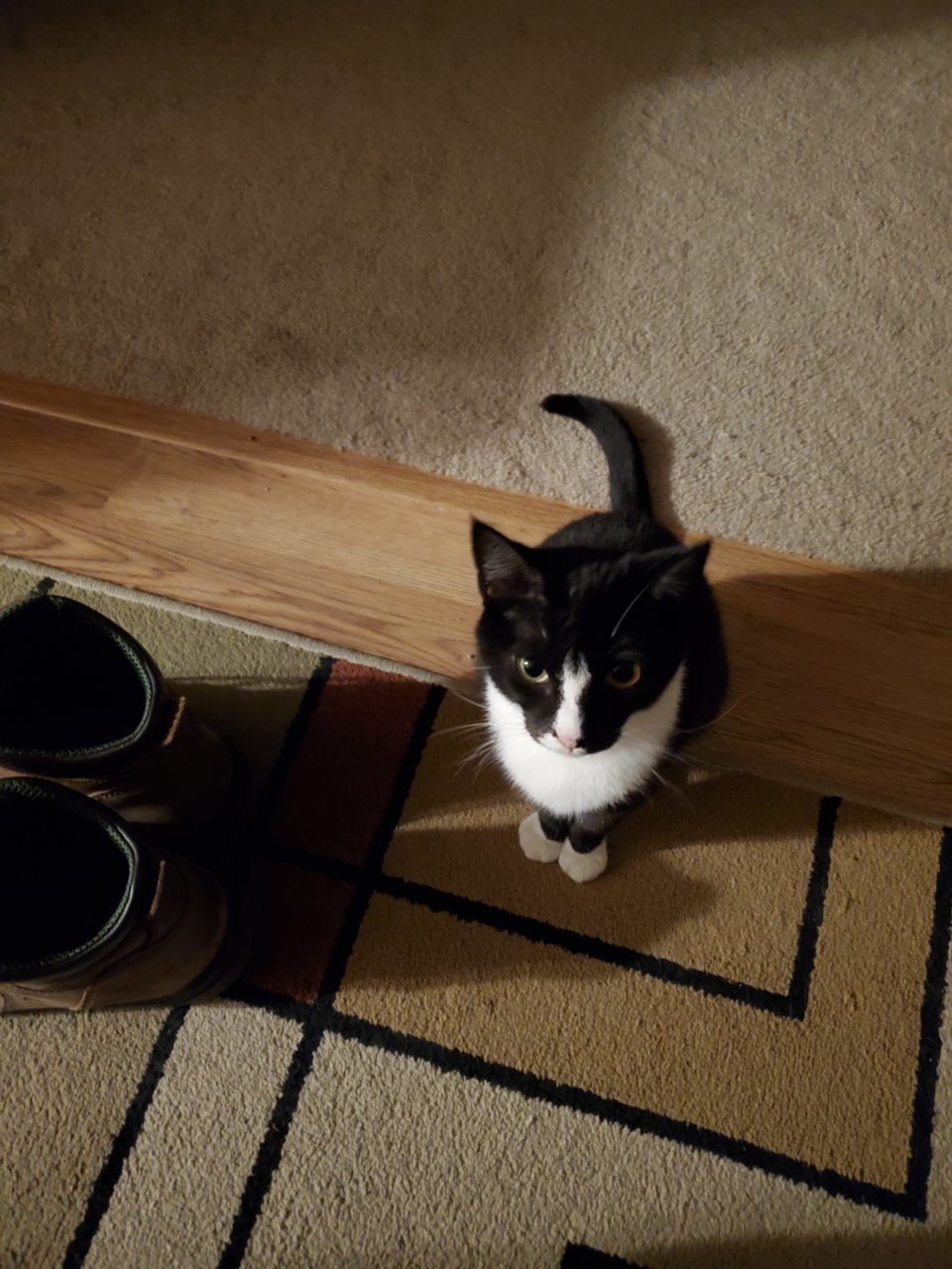 20220413_043503.jpg