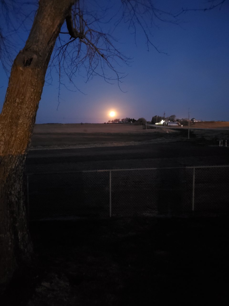 20220415_060507.jpg
