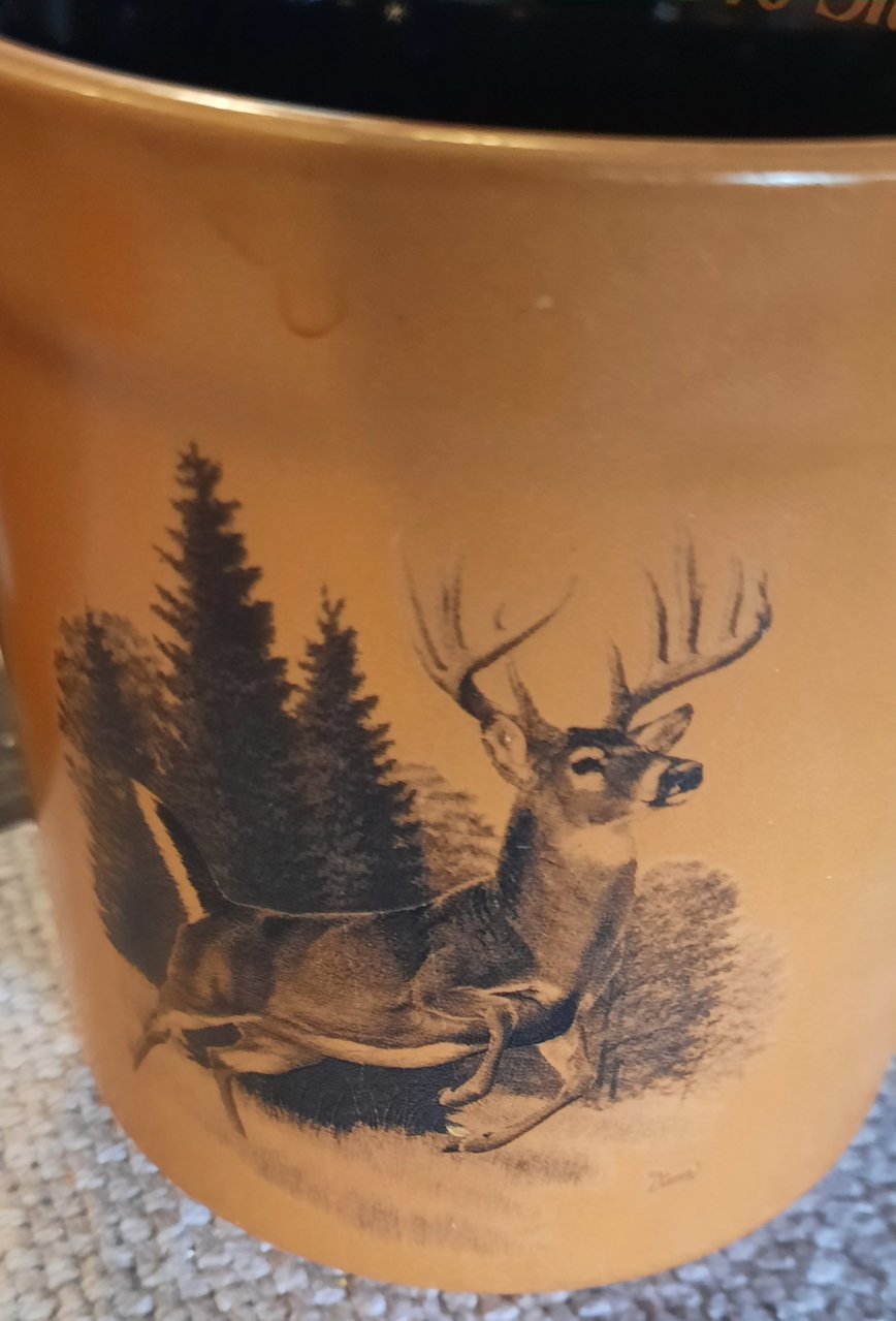 20220415_083243.jpg