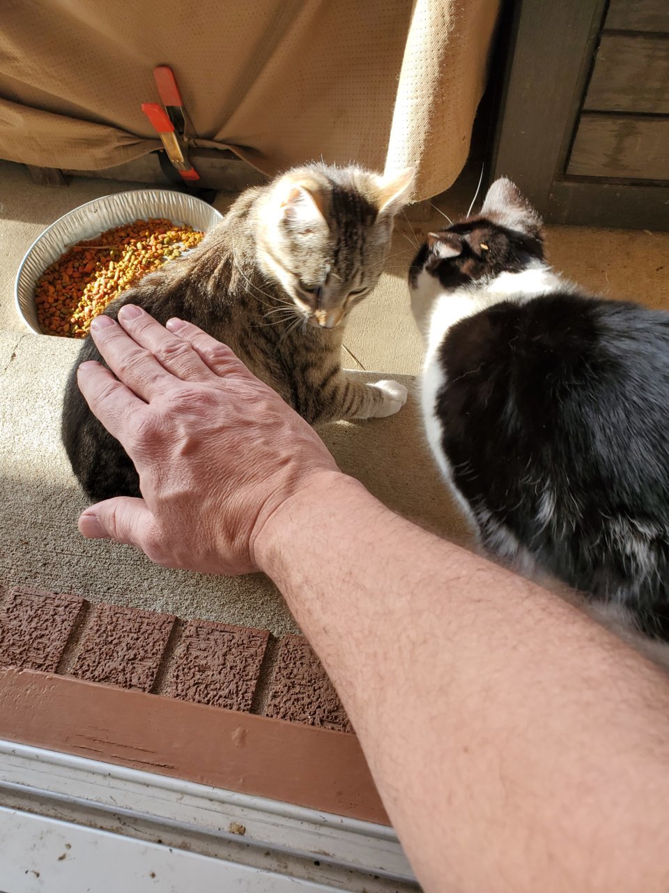 20220415_090339.jpg