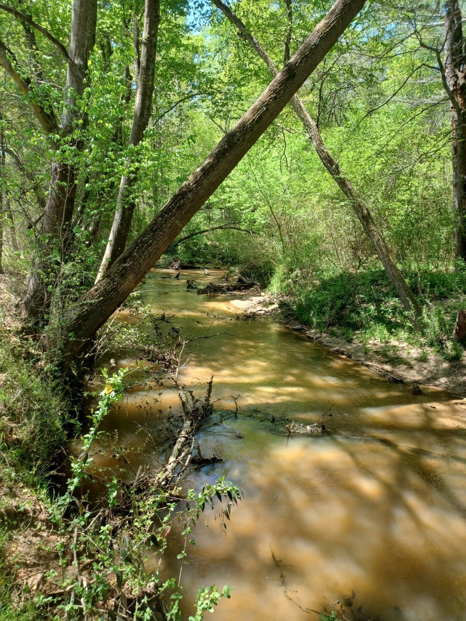 20220415_133511.jpg