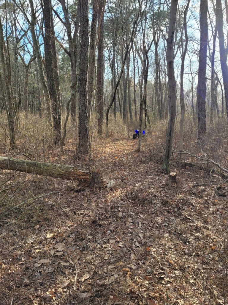 20220416_180619.jpg