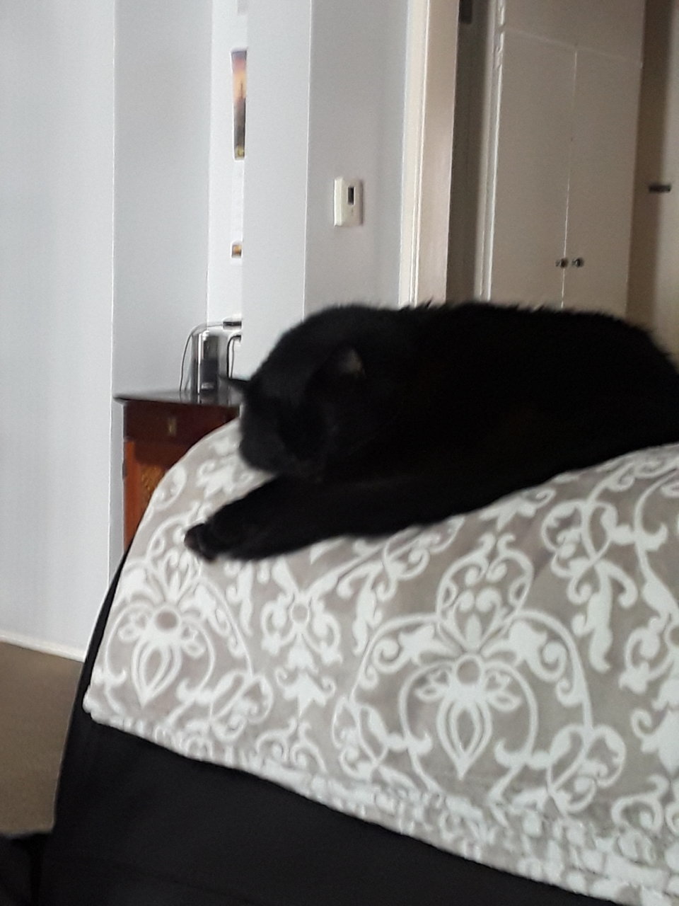 20220417_165617.jpg
