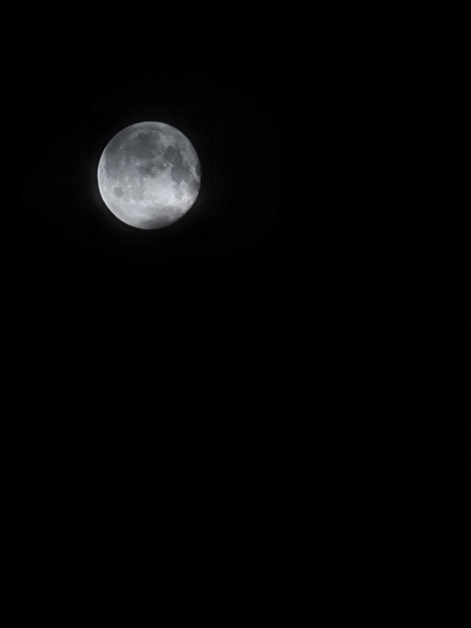 20220418_051330.jpg