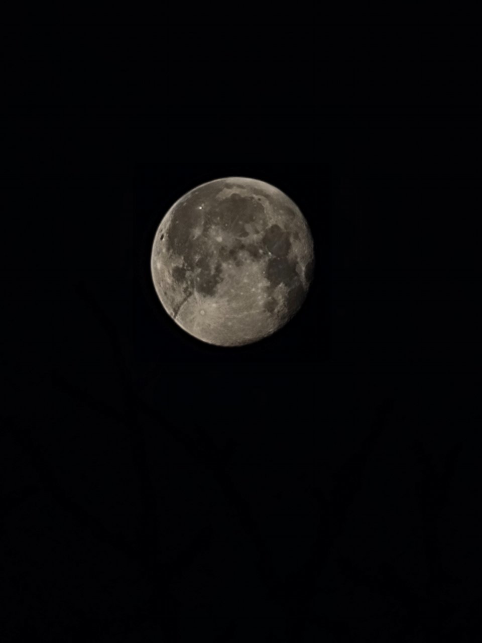20220418_062850.jpg