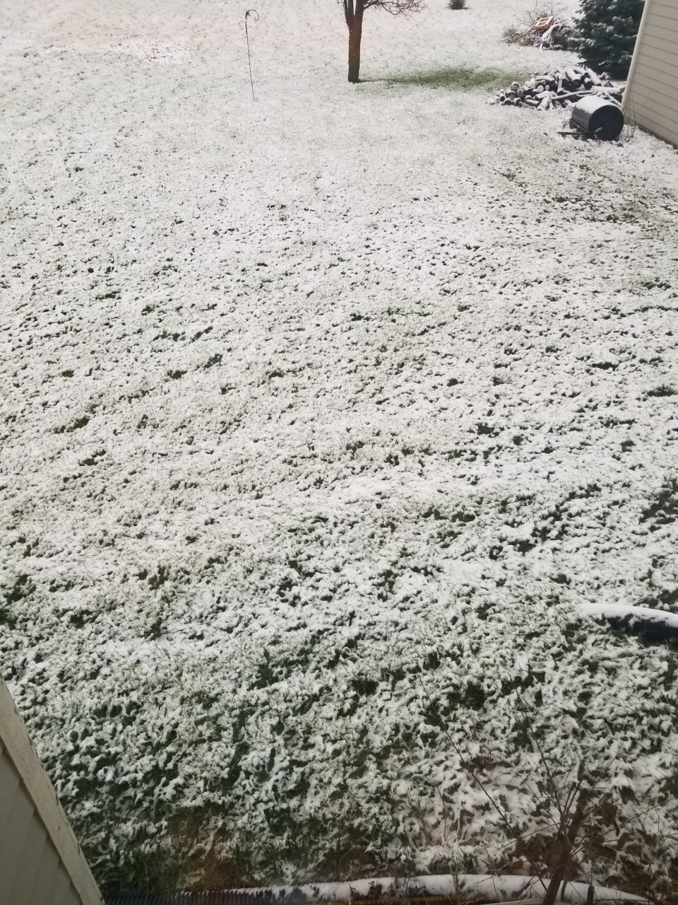 20220418_072700.jpg
