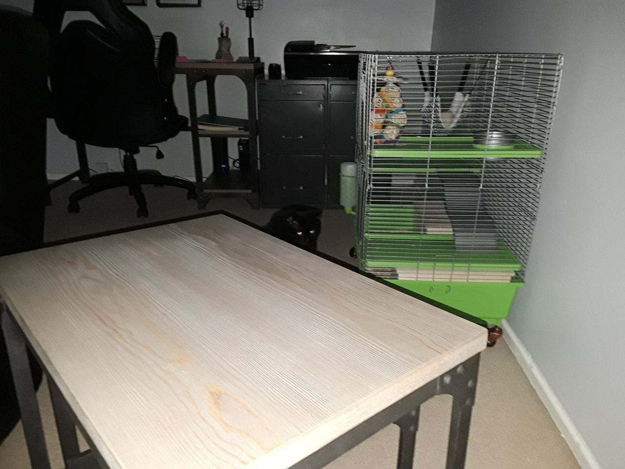 20220422_183049.jpg