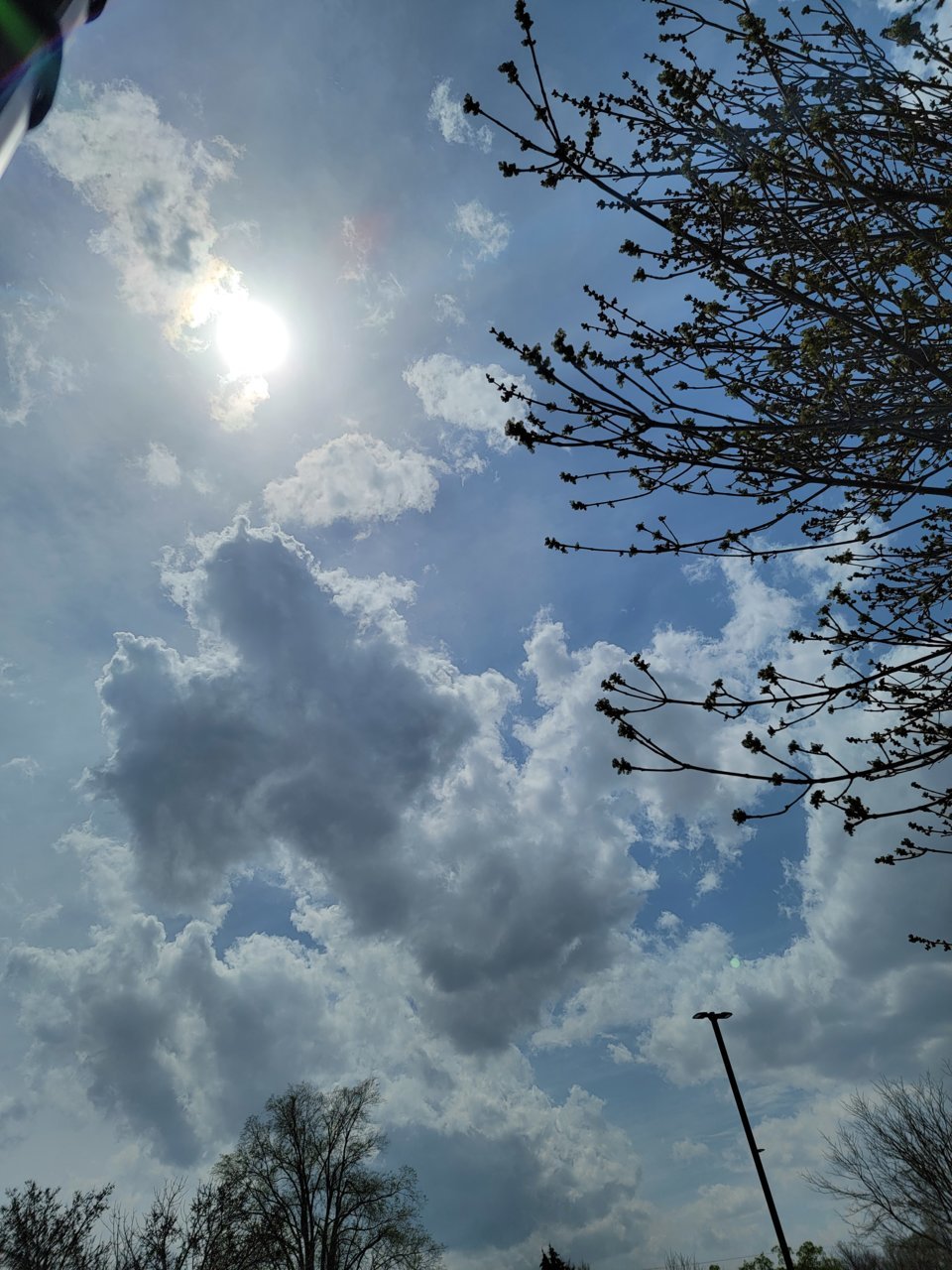 20220423_134323.jpg