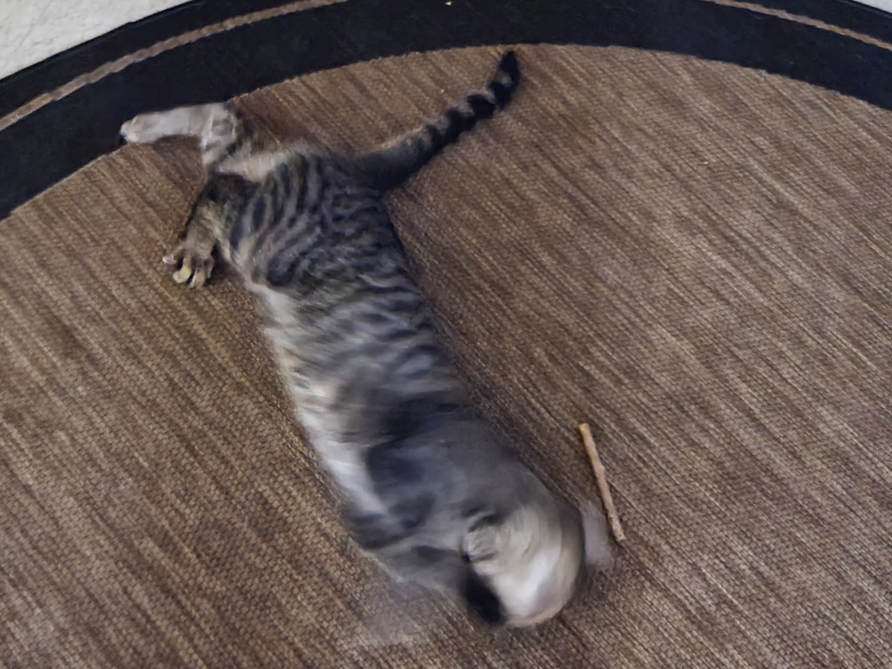 20220424_220407.jpg