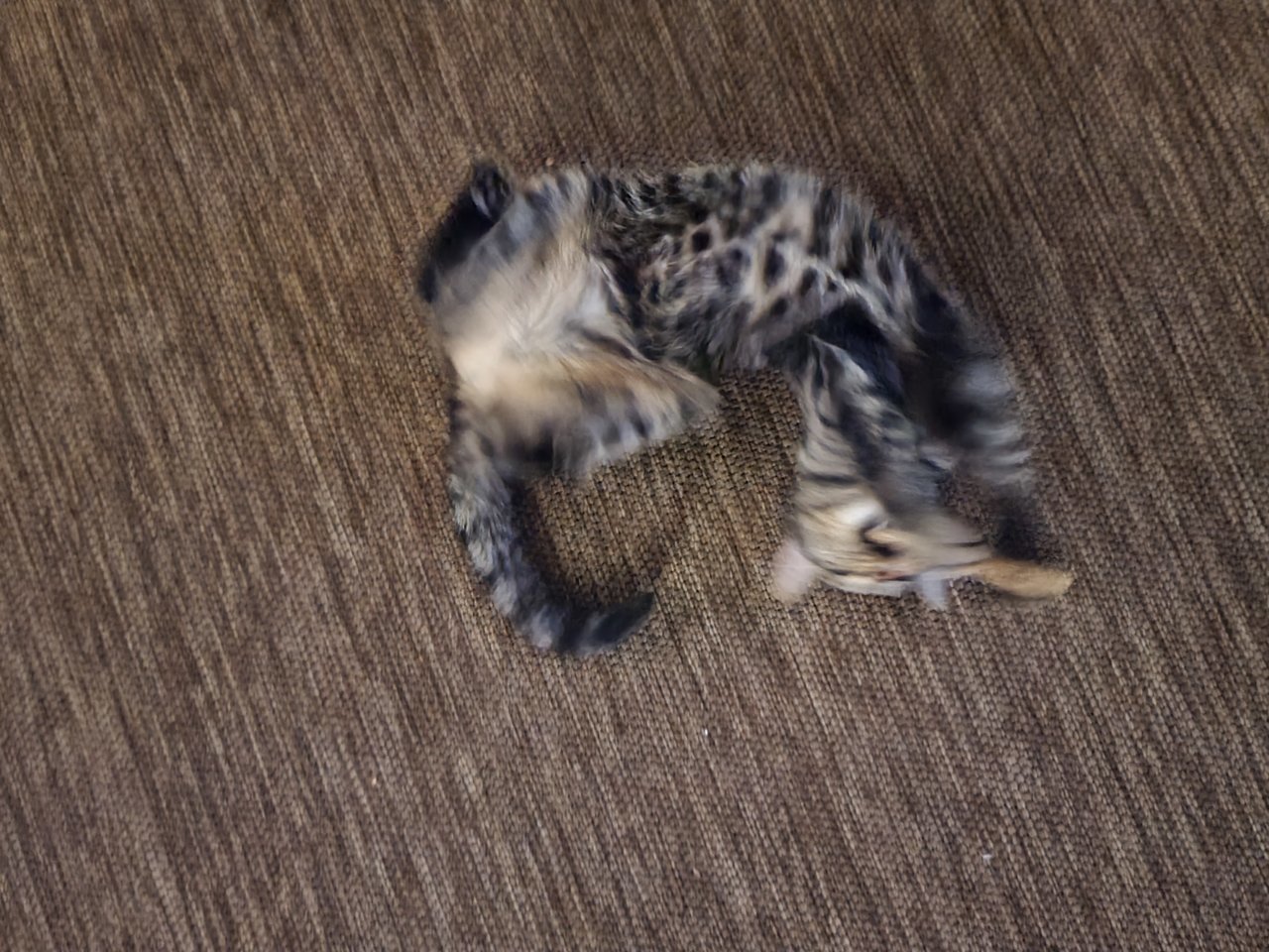 20220424_220425.jpg