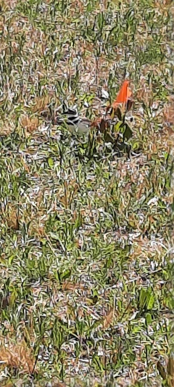 20220427_142652.jpg