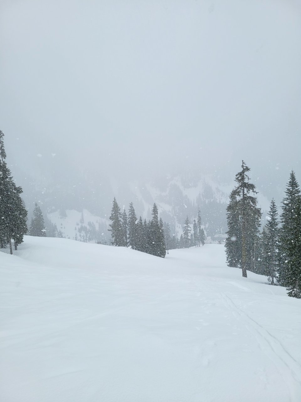 20220427_180412.jpg