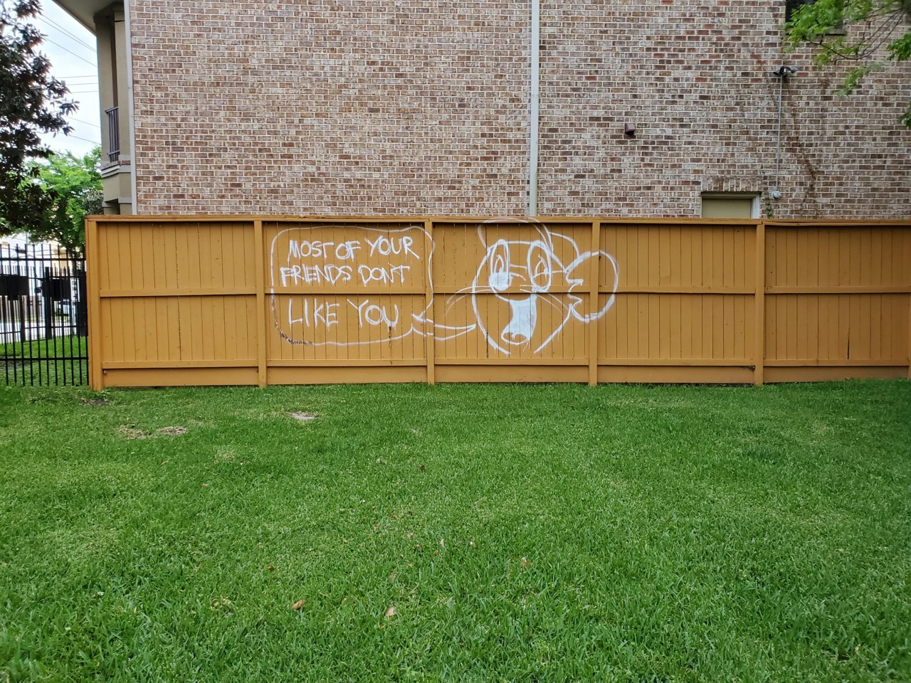 20220428_193300.jpg