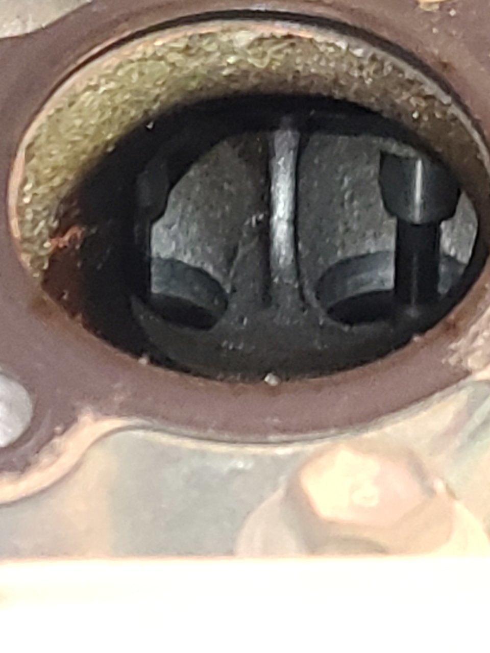 20220429_112710.jpg