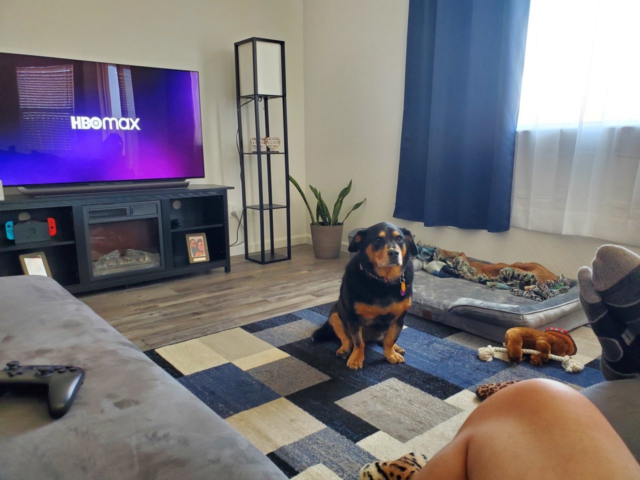 20220430_164629.jpg