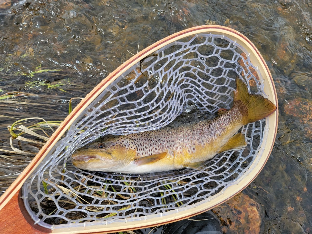 20220501_130955.jpg