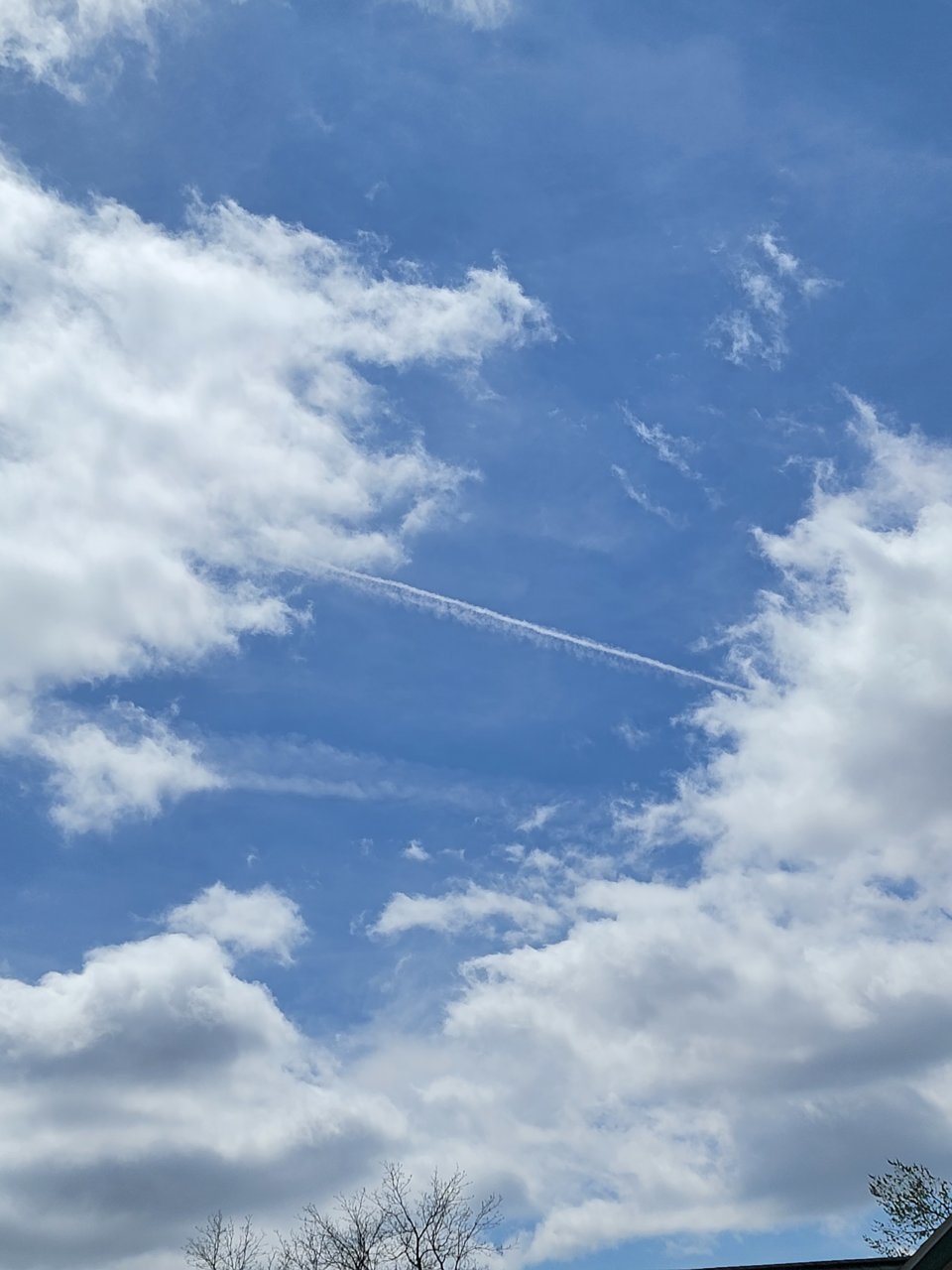 20220501_134726.jpg