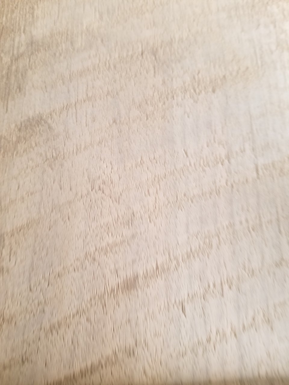 20220501_135656.jpg