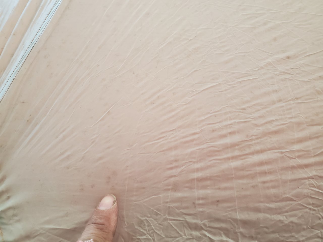 20220501_141608.jpg