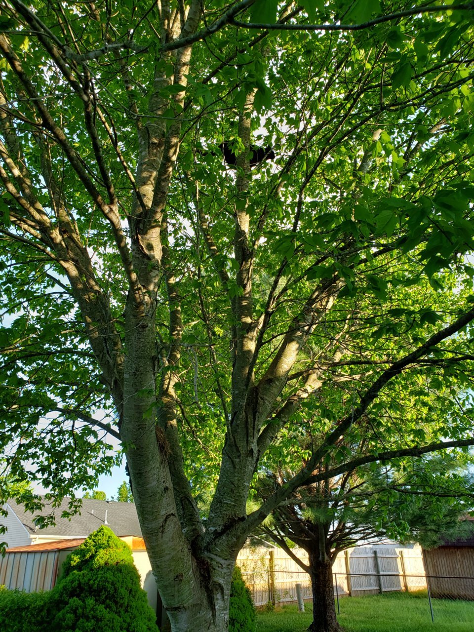 20220501_183334.jpg