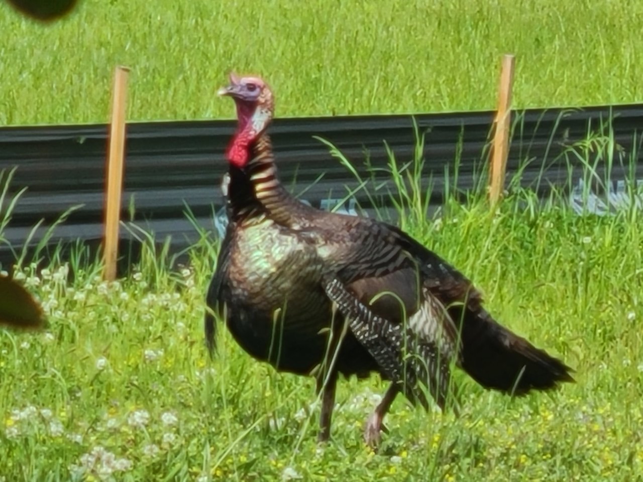 20220503_151433.jpg