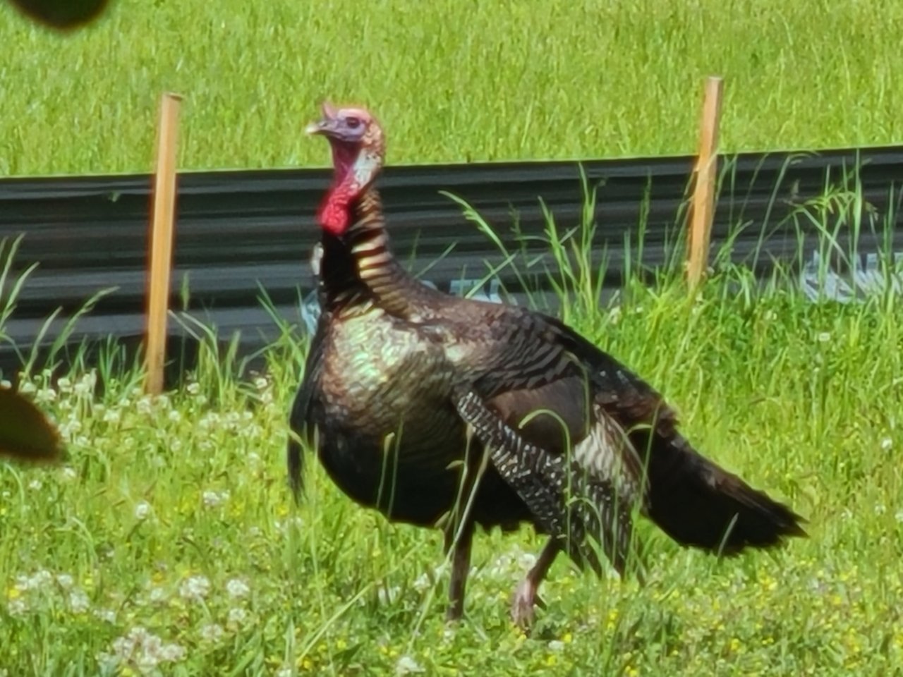 20220503_151433.jpg
