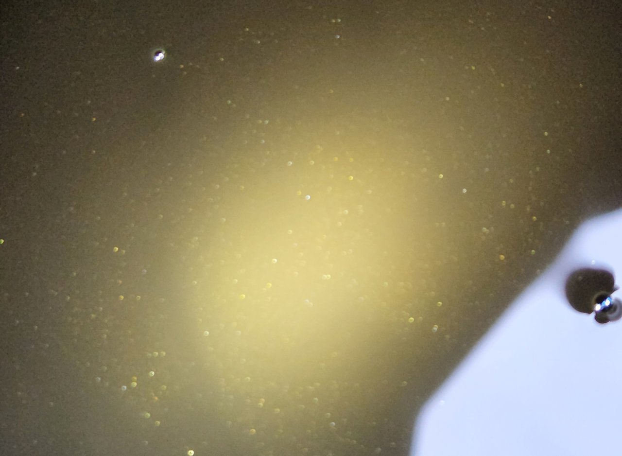 20220504_195756.jpg