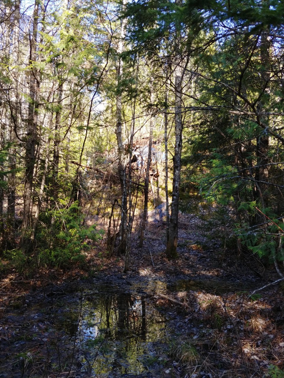 20220506_164100_HDR.jpg