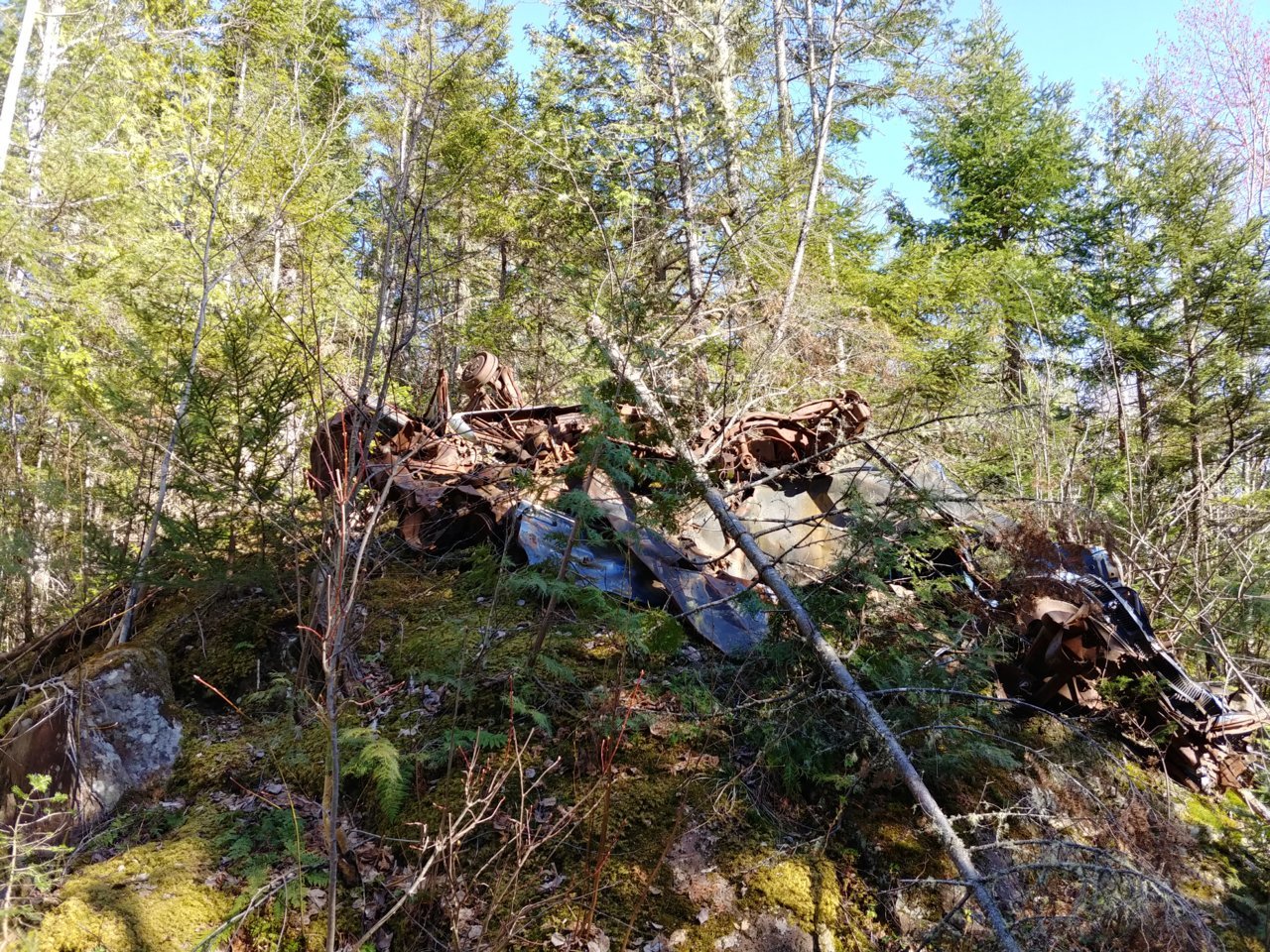 20220506_164235_HDR.jpg