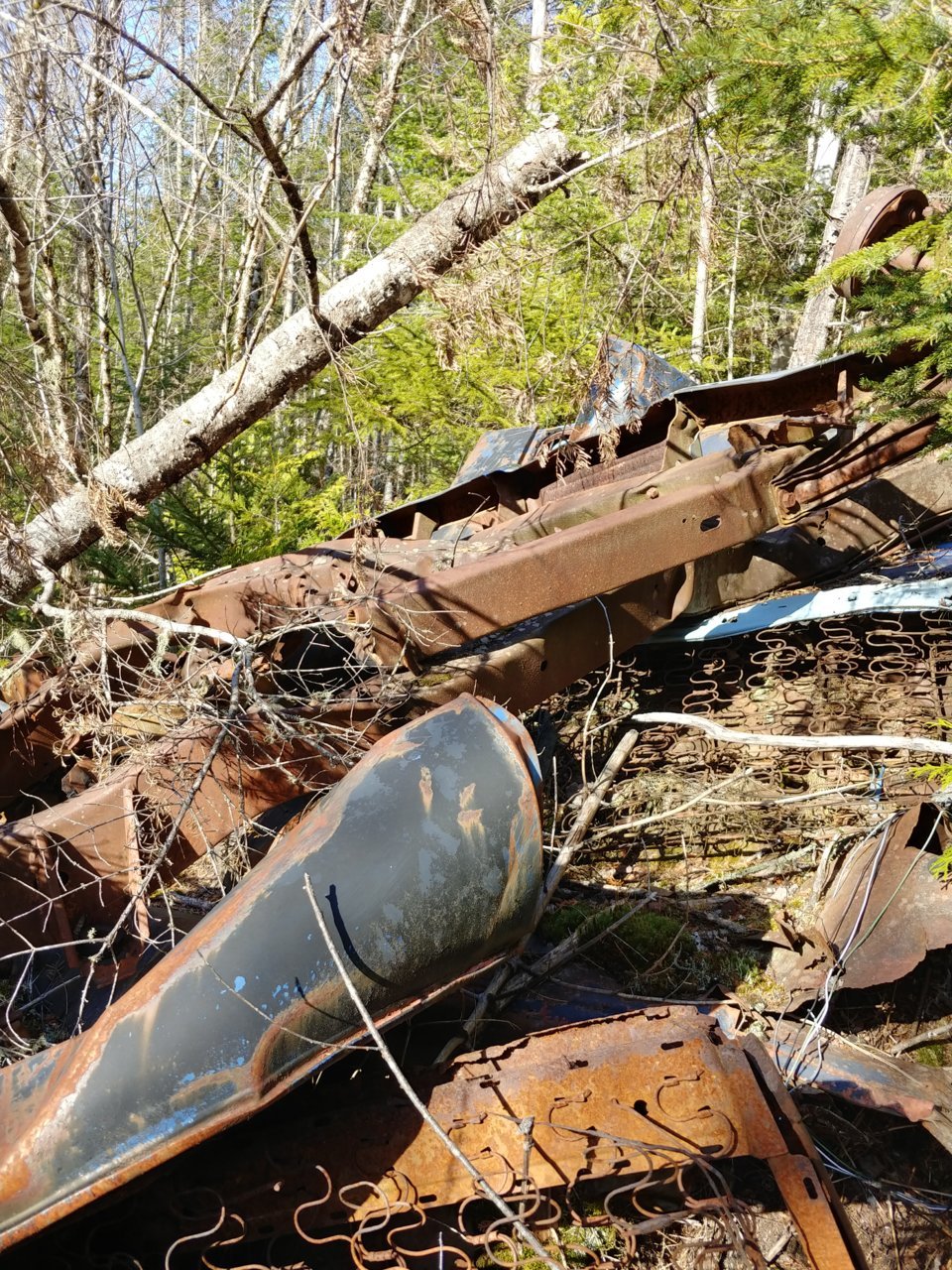 20220506_164341_HDR.jpg