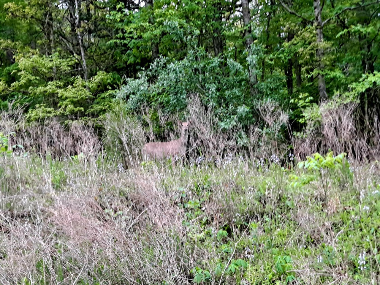 20220506_185026.jpg