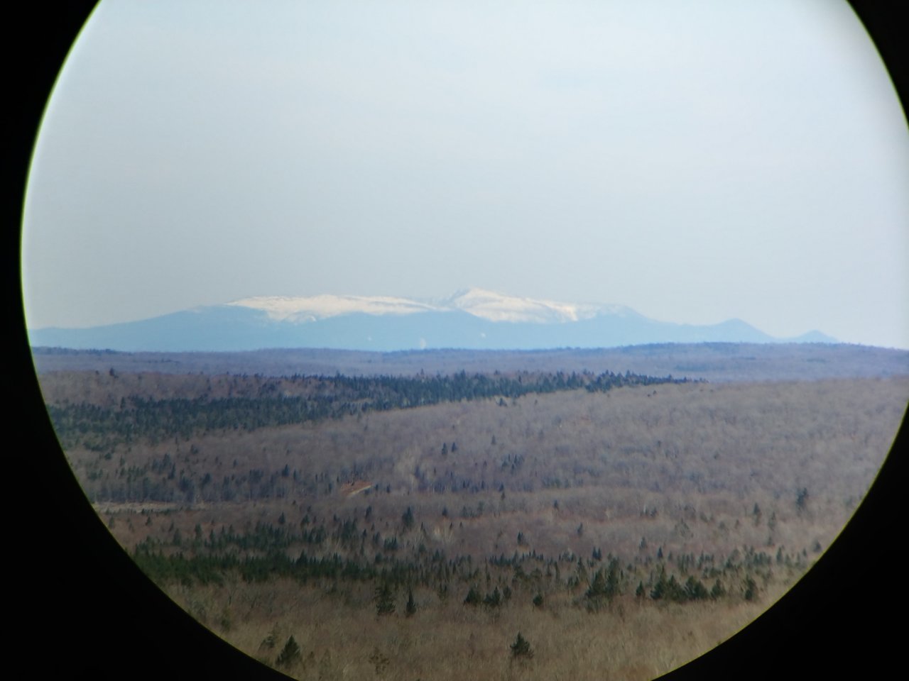 20220507_151502_HDR.jpg