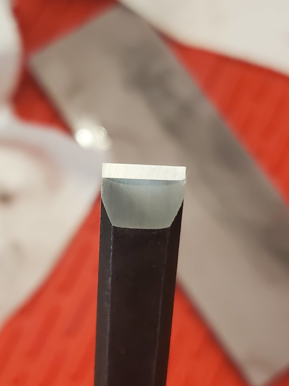 20220507_171425.jpg