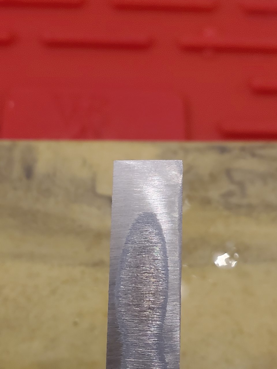 20220507_174021.jpg