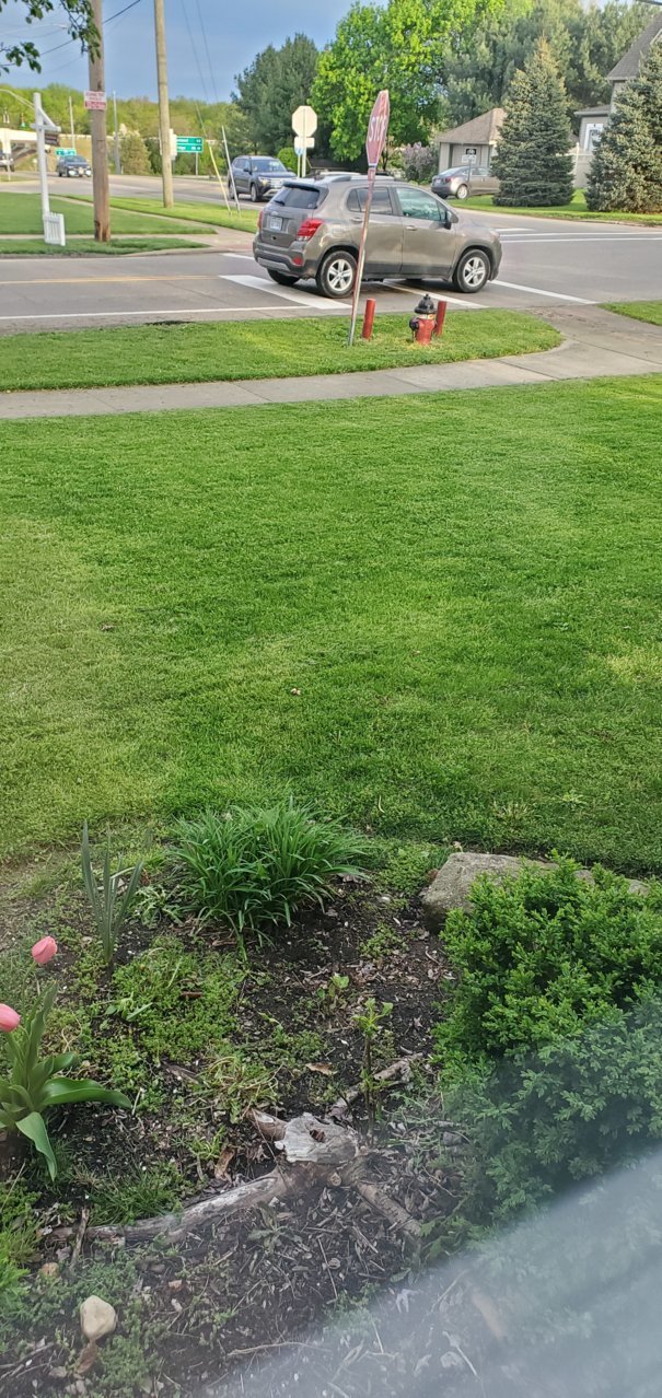 20220507_192738.jpg